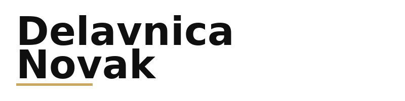Delavnica Novak logo
